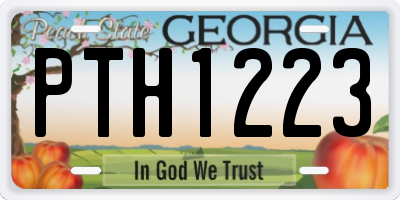 GA license plate PTH1223