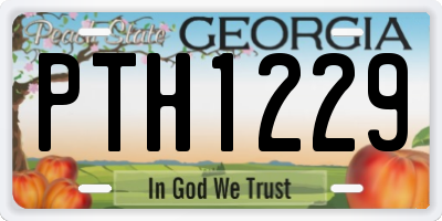 GA license plate PTH1229