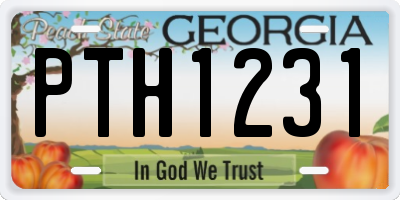 GA license plate PTH1231