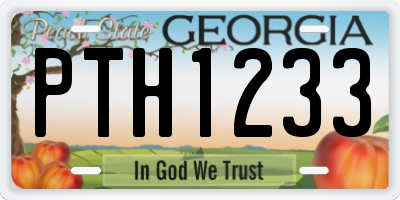 GA license plate PTH1233