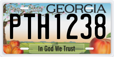 GA license plate PTH1238