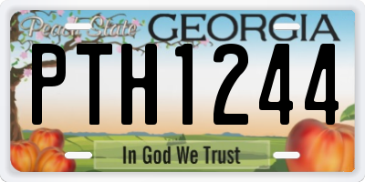 GA license plate PTH1244
