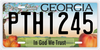 GA license plate PTH1245