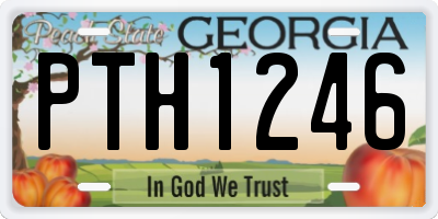 GA license plate PTH1246