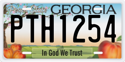 GA license plate PTH1254