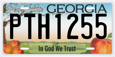 GA license plate PTH1255