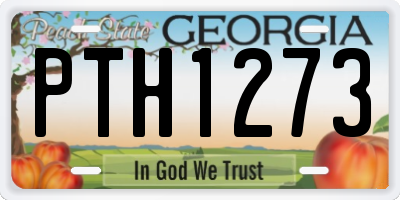 GA license plate PTH1273