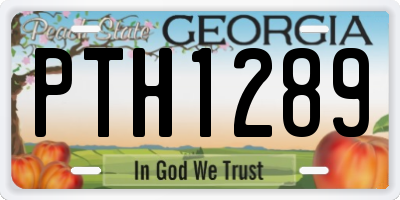 GA license plate PTH1289