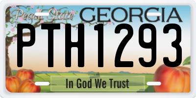 GA license plate PTH1293