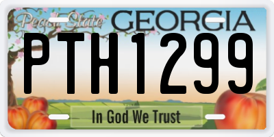 GA license plate PTH1299