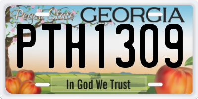 GA license plate PTH1309
