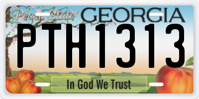 GA license plate PTH1313