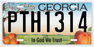 GA license plate PTH1314