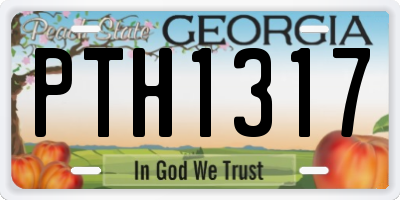 GA license plate PTH1317