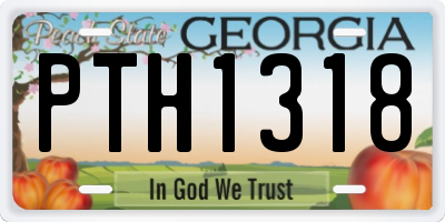 GA license plate PTH1318