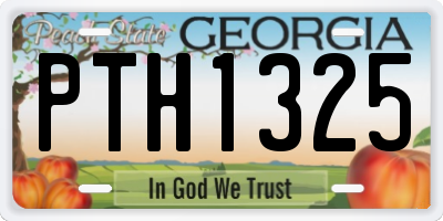 GA license plate PTH1325