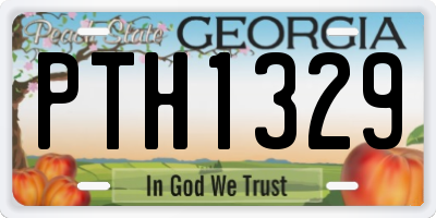 GA license plate PTH1329
