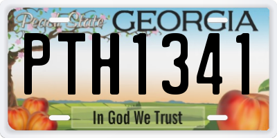 GA license plate PTH1341