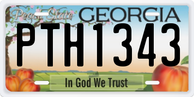 GA license plate PTH1343