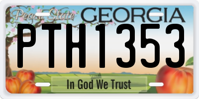 GA license plate PTH1353