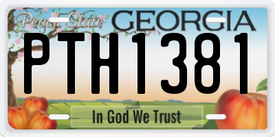 GA license plate PTH1381