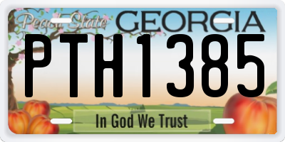 GA license plate PTH1385