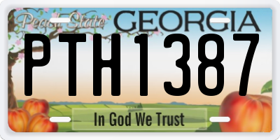 GA license plate PTH1387