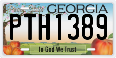 GA license plate PTH1389