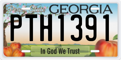 GA license plate PTH1391