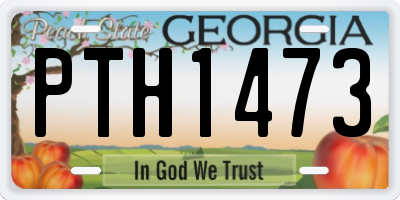 GA license plate PTH1473