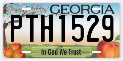 GA license plate PTH1529