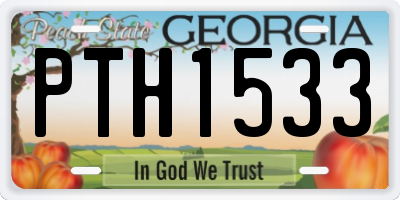 GA license plate PTH1533