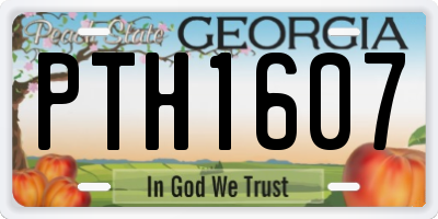 GA license plate PTH1607