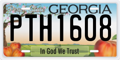 GA license plate PTH1608