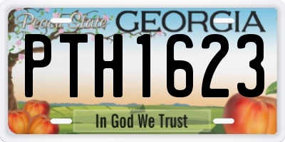 GA license plate PTH1623