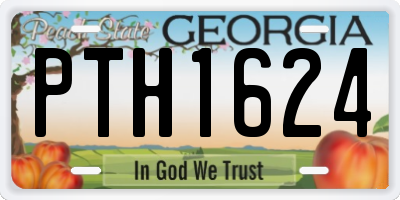 GA license plate PTH1624