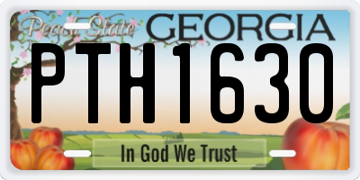 GA license plate PTH1630