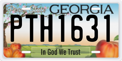 GA license plate PTH1631