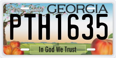 GA license plate PTH1635
