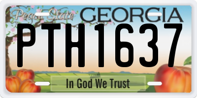 GA license plate PTH1637