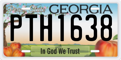 GA license plate PTH1638