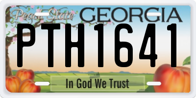 GA license plate PTH1641