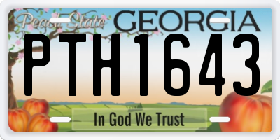 GA license plate PTH1643