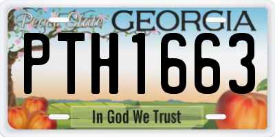 GA license plate PTH1663