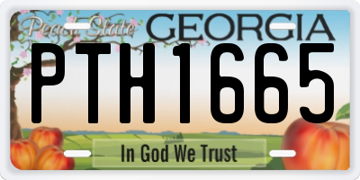 GA license plate PTH1665
