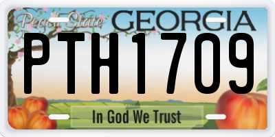 GA license plate PTH1709