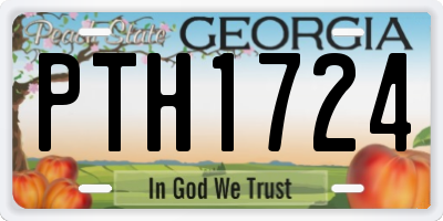 GA license plate PTH1724