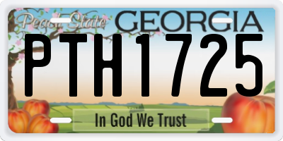 GA license plate PTH1725