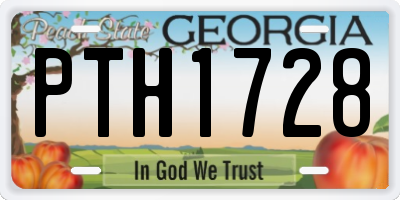 GA license plate PTH1728
