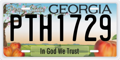 GA license plate PTH1729